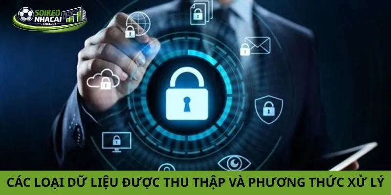 Các loại dữ liệu được thu thập và phương thức xử lý