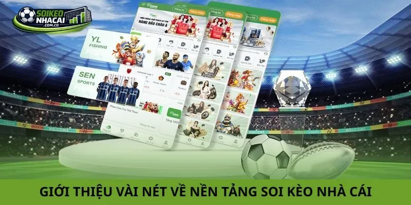 Giới thiệu vài nét về nền tảng soi kèo nhà cái
