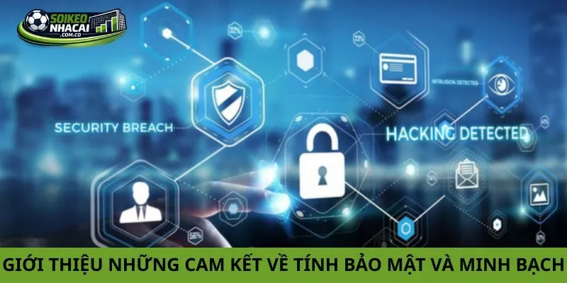 Giới thiệu những cam kết về tính bảo mật và minh bạch