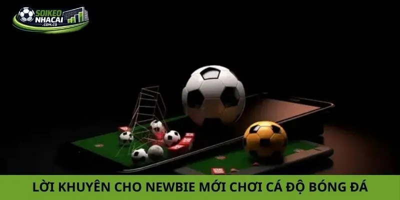 Lựa chọn trang cá cược bóng đá Lựa chọn trang cá cược bóng đá