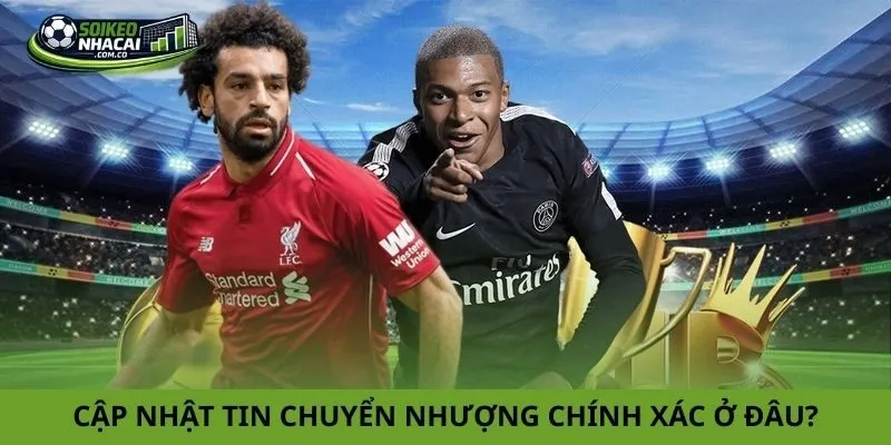 Cập nhật tin chuyển nhượng nhanh và chính xác ở đâu?