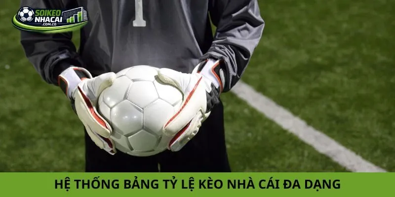 Hệ thống bảng tỷ lệ kèo nhà cái đa dạng